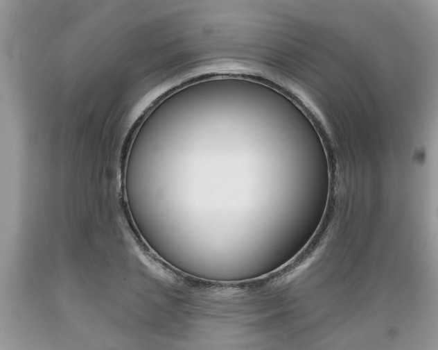 X0000089660837200706210728