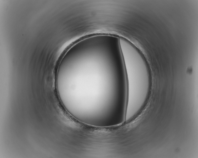 X0000089660838200706210728