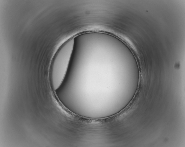 X0000089660839200706210728