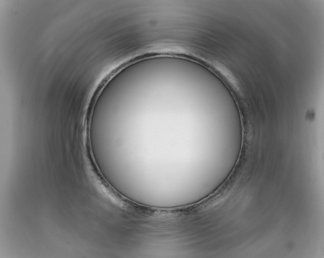 X0000089660840200706210728