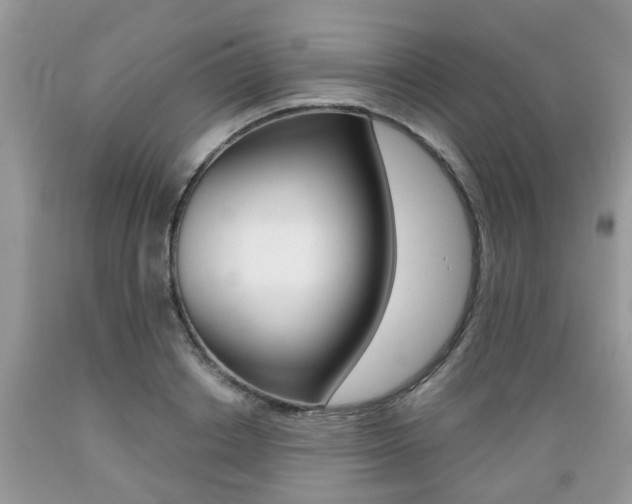 X0000089660842200706210728