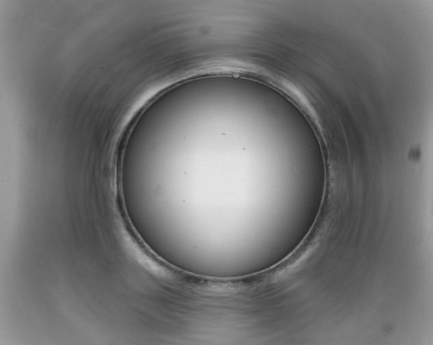 X0000089660843200706210728