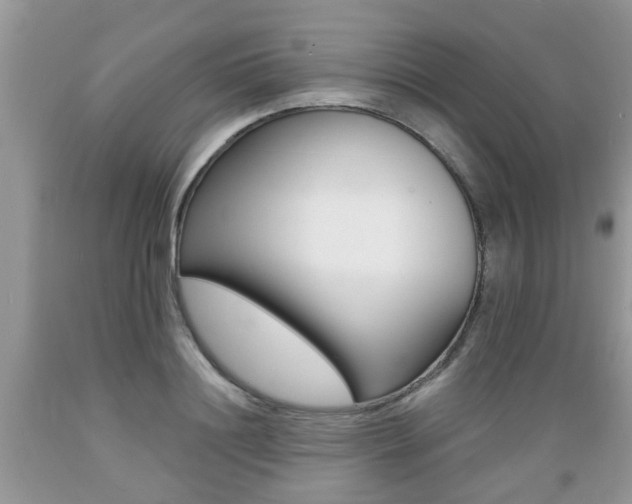X0000089660844200706210728