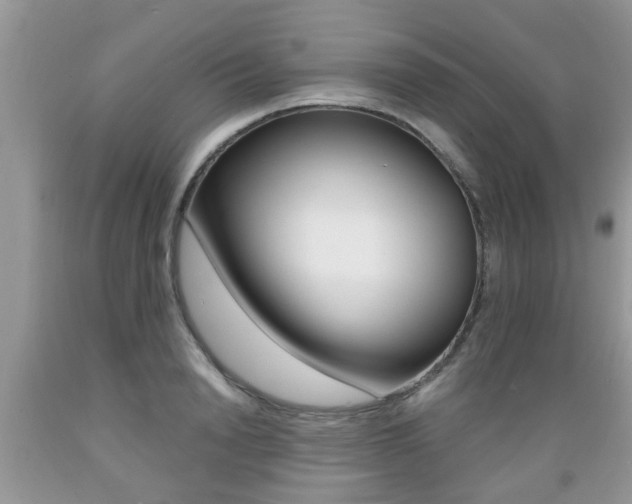 X0000089660846200706210729