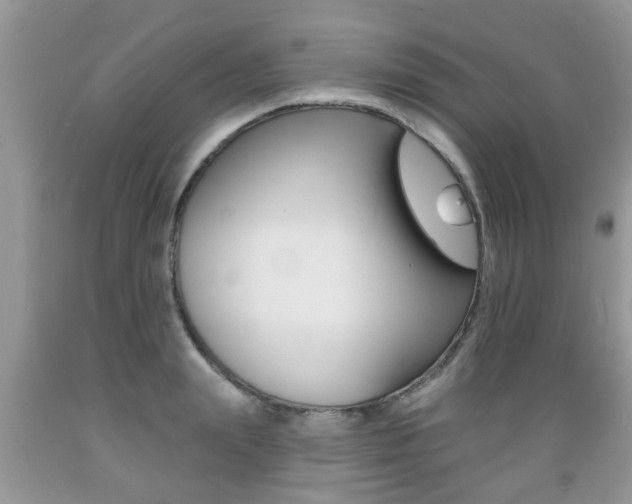 X0000089660847200706210729