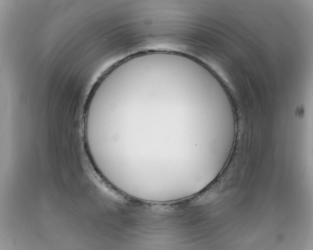 X0000089660848200706210729