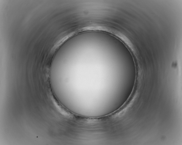 X0000089660849200706210729