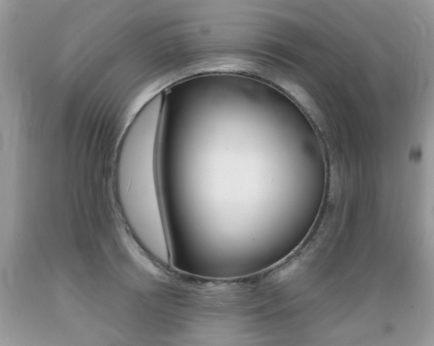 X0000089660850200706210729