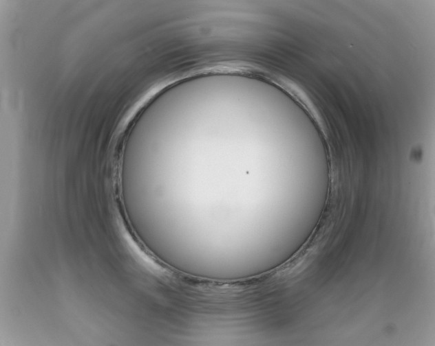 X0000089660851200706210729