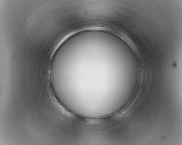 X0000089660852200706210729
