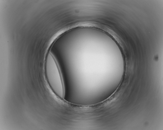 X0000089660853200706210729