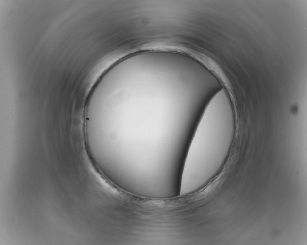 X0000089660855200706210729