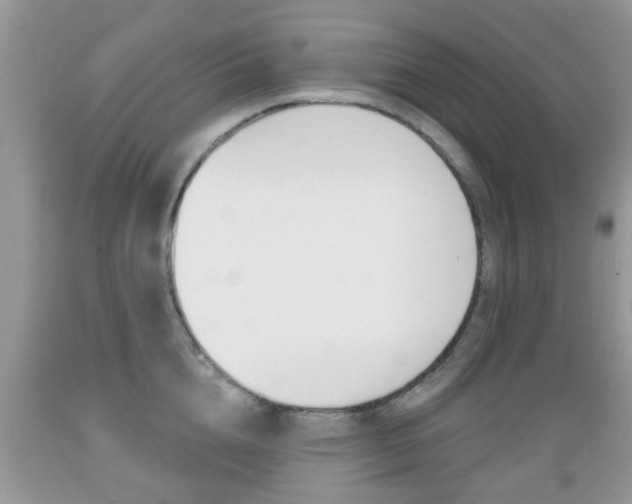 X0000089660856200706210729