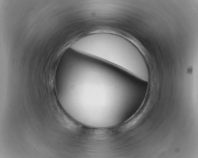 X0000089660857200706210729