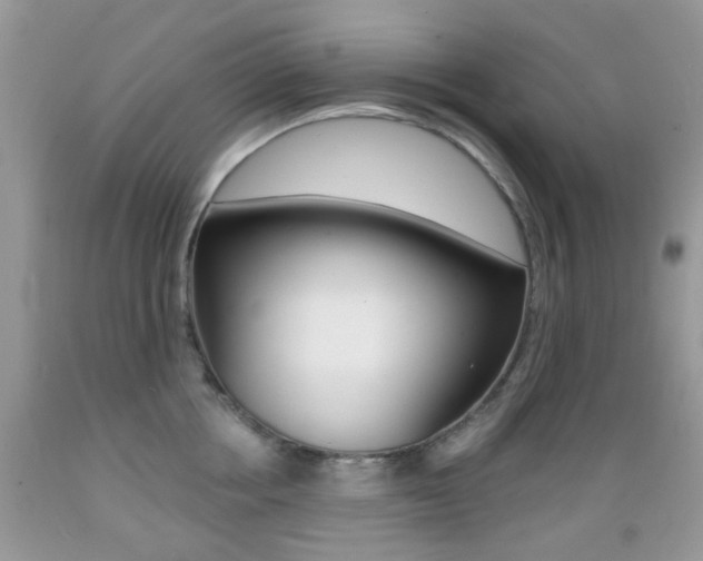 X0000089660858200706210729