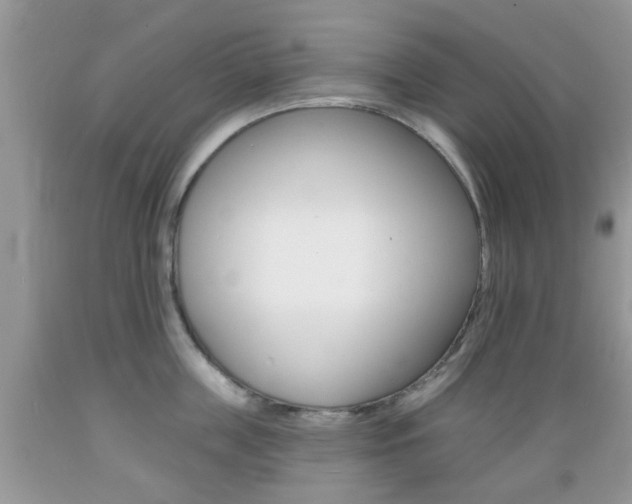 X0000089660859200706210729
