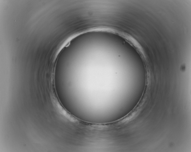 X0000089660860200706210729