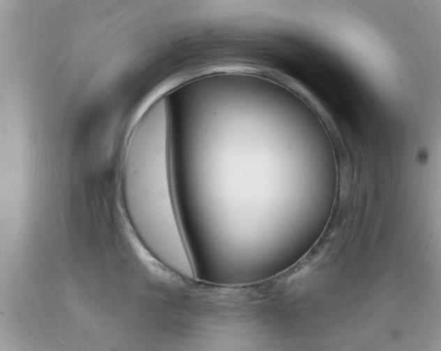 X0000089660861200706210729