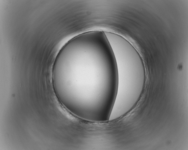 X0000089660862200706210729