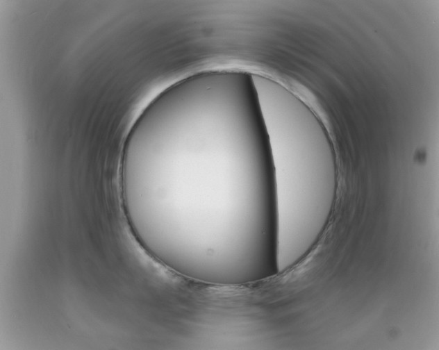 X0000089660863200706210729