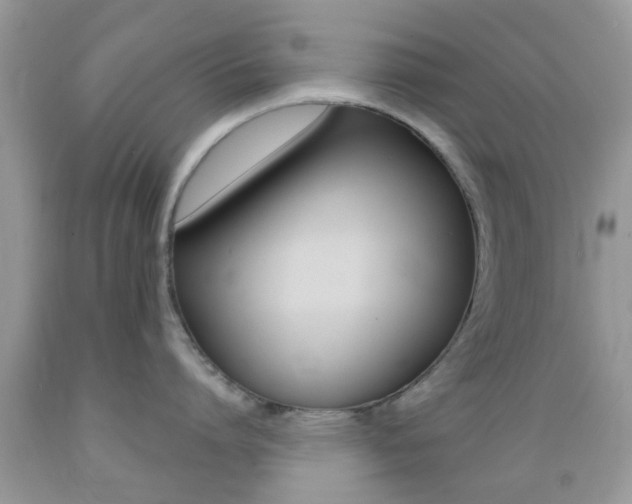 X0000089660864200706210729
