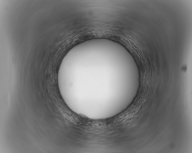X0000089660865200706210728
