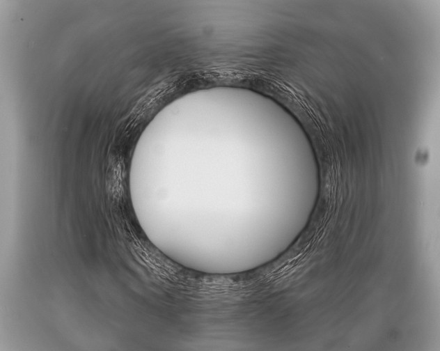 X0000089660866200706210728