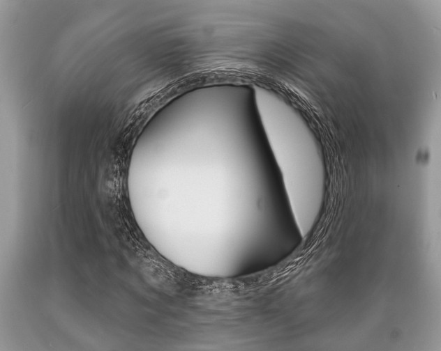 X0000089660869200706210728