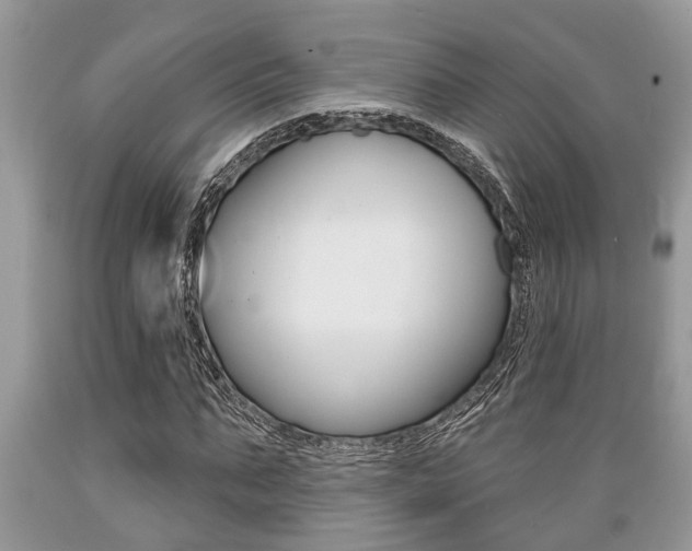 X0000089660871200706210728