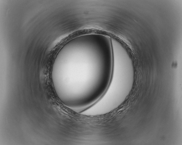 X0000089660872200706210728