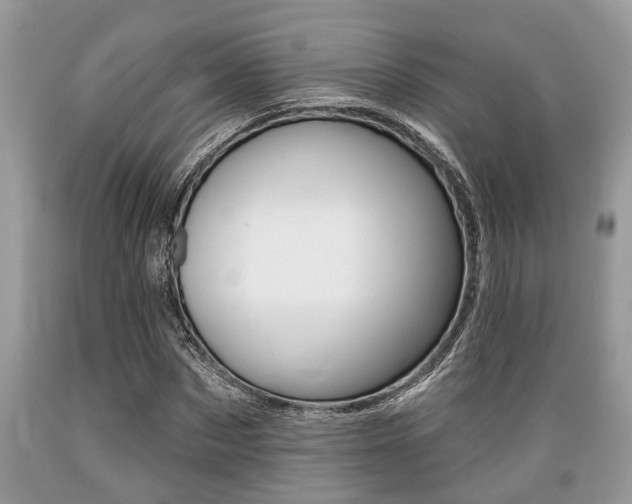 X0000089660873200706210728