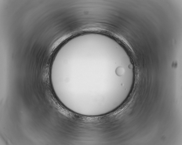 X0000089660874200706210728