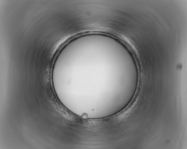 X0000089660875200706210728