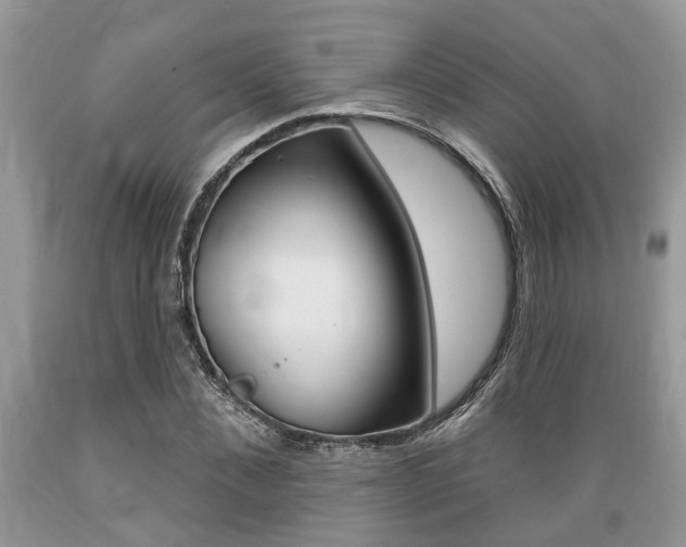 X0000089660876200706210728