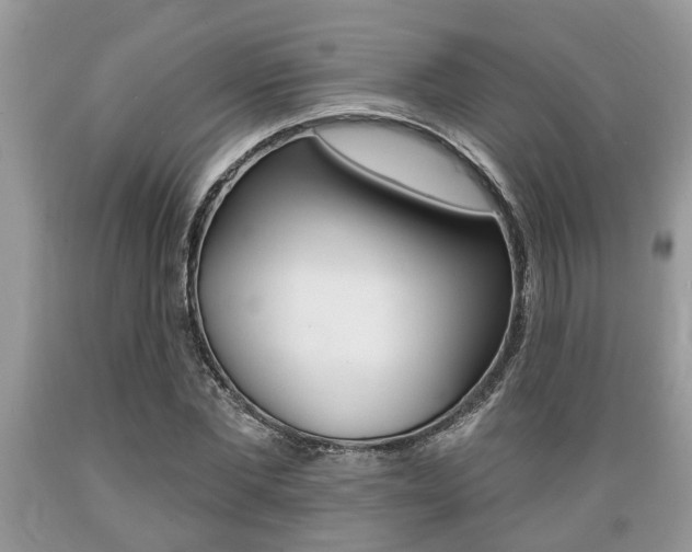 X0000089660877200706210728