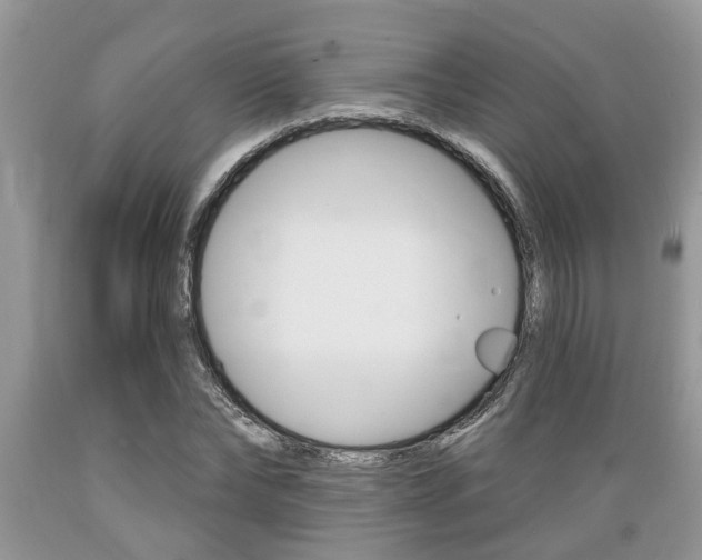 X0000089660878200706210728