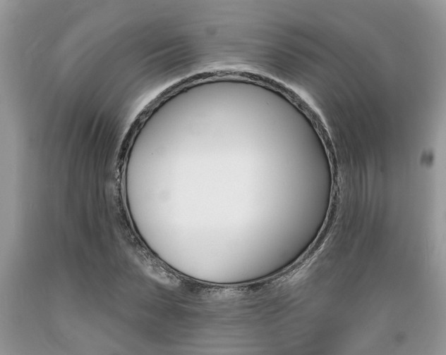 X0000089660879200706210728