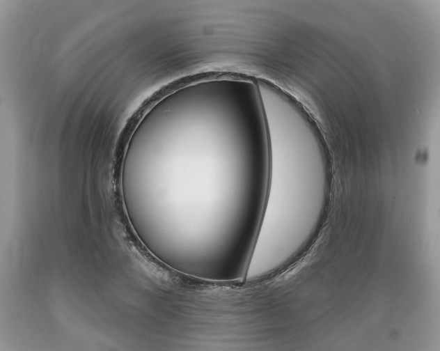 X0000089660880200706210728