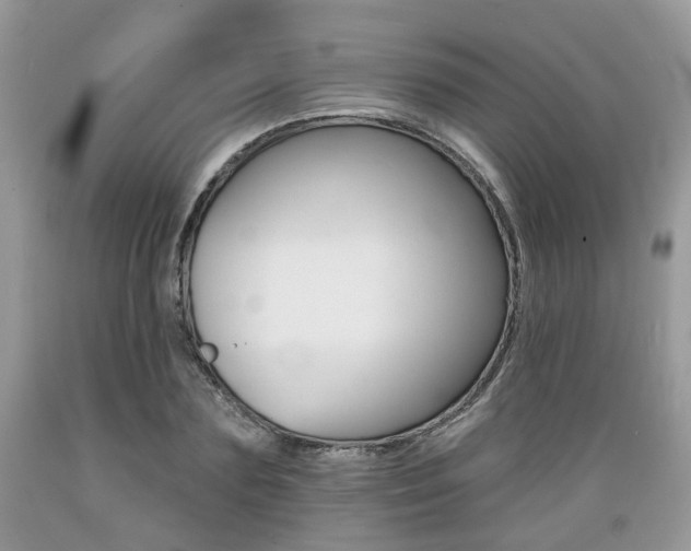 X0000089660883200706210728