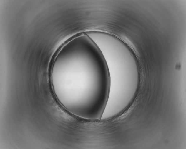 X0000089660884200706210728