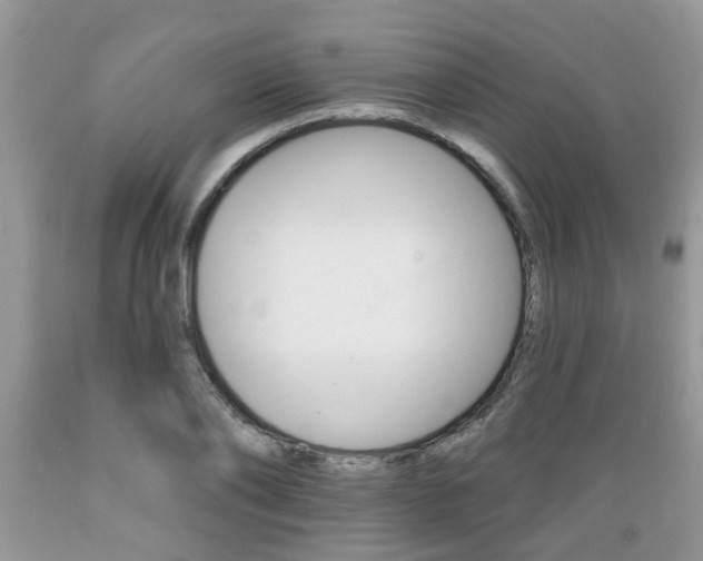 X0000089660886200706210728