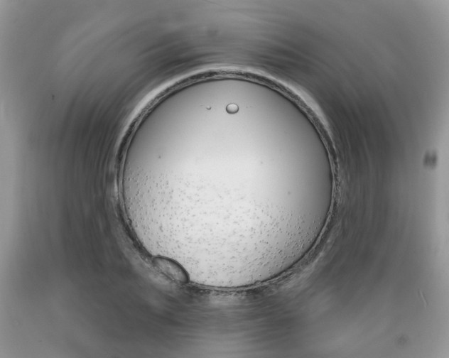 X0000089660887200706210728