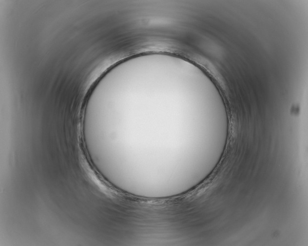 X0000089660890200706210728