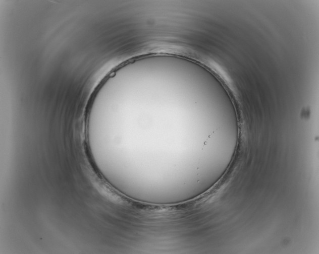 X0000089660891200706210728