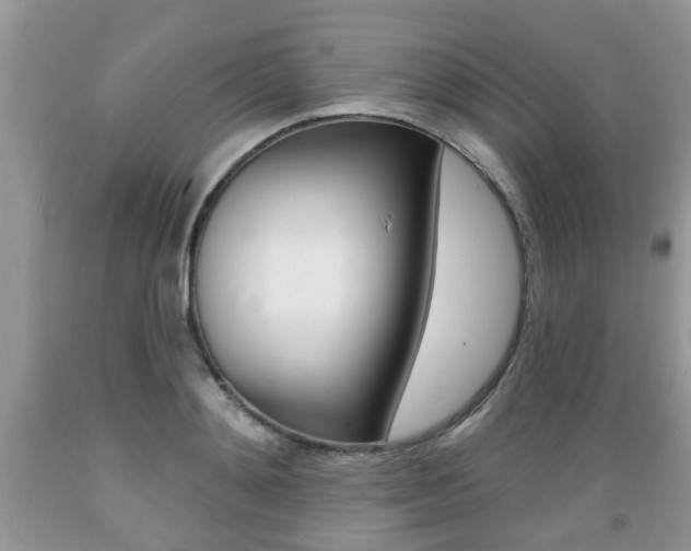 X0000089660892200706210728