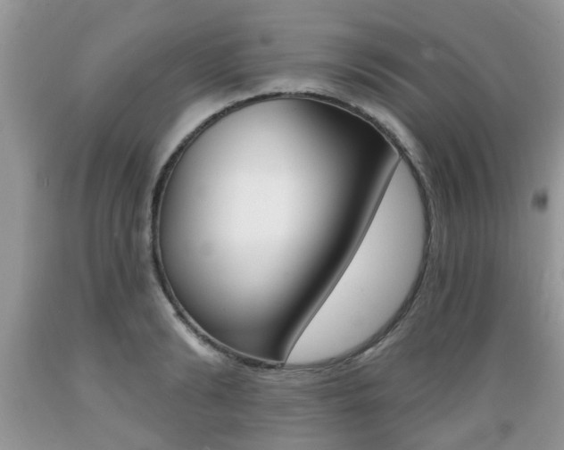 X0000089660894200706210728