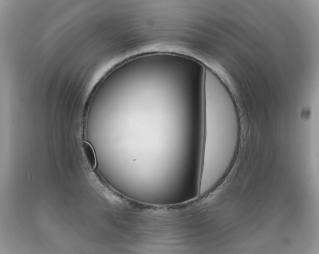 X0000089660896200706210728