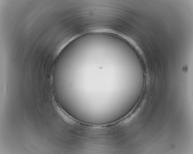 X0000089660897200706210728