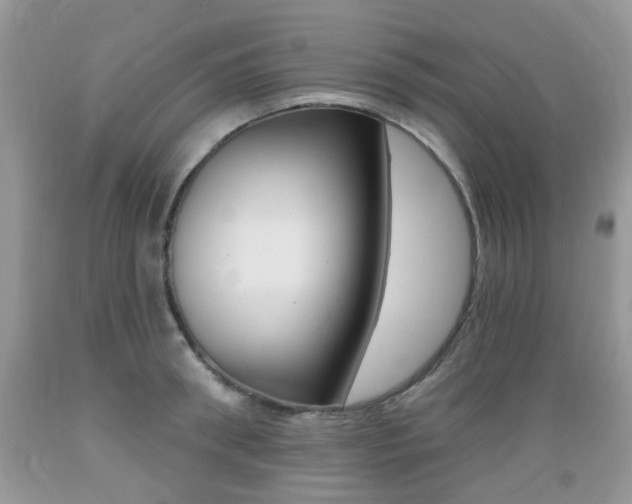 X0000089660898200706210728