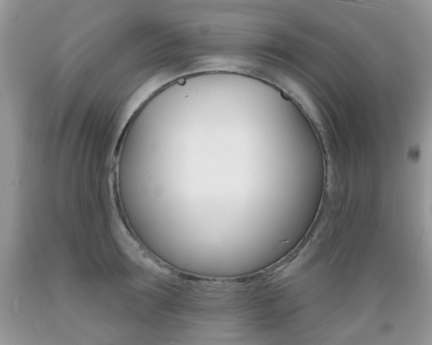 X0000089660899200706210728